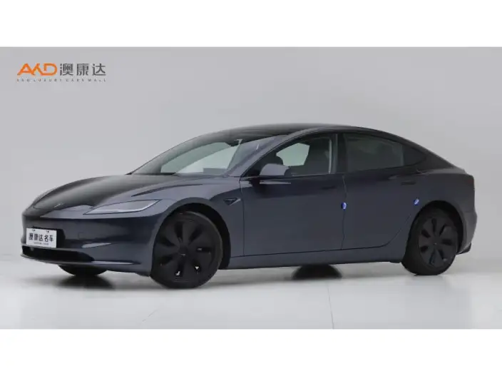 Model 3 2023 Model Long Battery Life Pro All-wheel drive version
