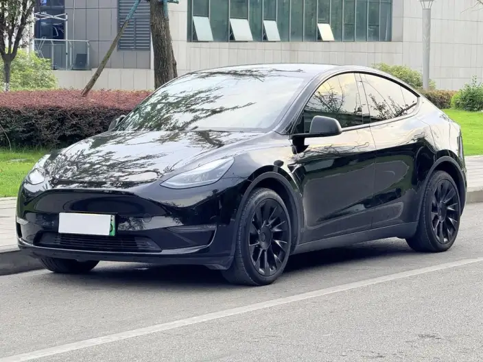 Model Y 2021 Model Long Battery Life Pro All-wheel drive version