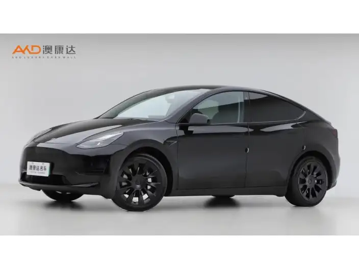 Model Y 2022 Model Rear-wheel drive version