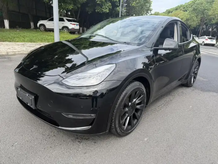 Model Y 2021 Model Standard Battery Life Rear-wheel drive version