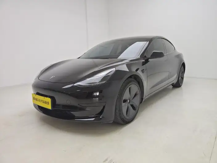 Model 3 2021 Model Standard Battery Life Rear Drive L Class Edition 3D6