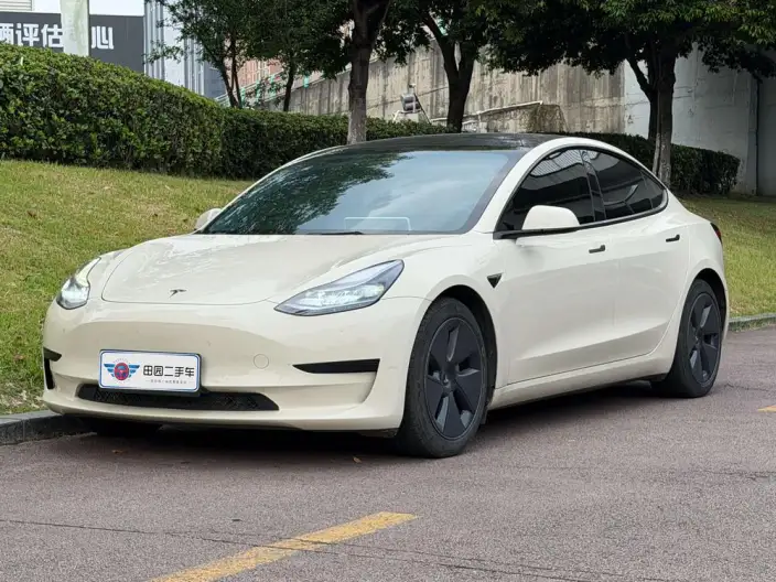 Model 3 2022 Model Rear-wheel drive version