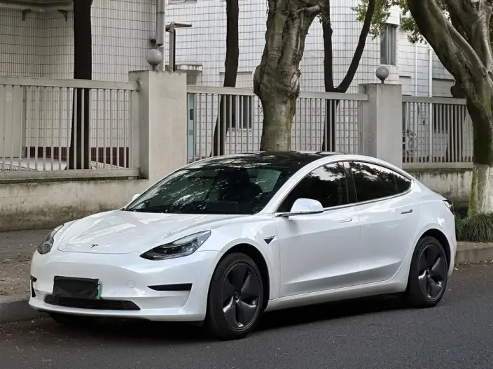 Model 3 2020 Model Standard Battery Life Rear Drive L Class Edition