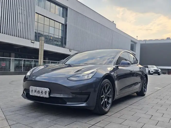 Model 3 2020 Model Standard Battery Life Rear Drive L Class Edition