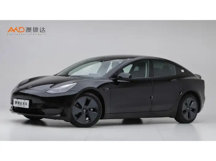 Model 3 2021 Model Standard Battery Life Rear Drive L Class Edition
