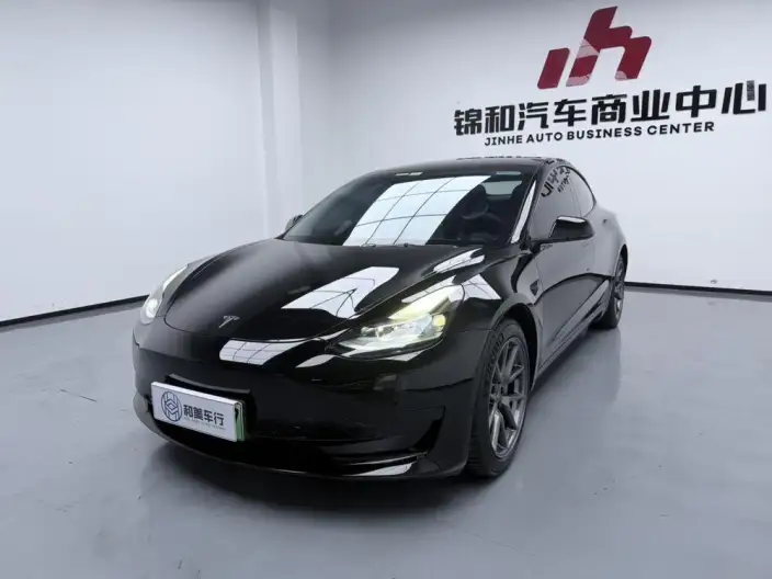 Model 3 2021 Model Standard Battery Life Rear Drive L Class Edition 3D6