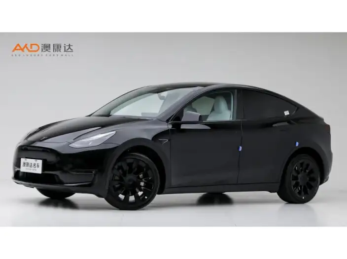 Model Y 2022 Model Facelift Long Battery Life Pro All-wheel drive version