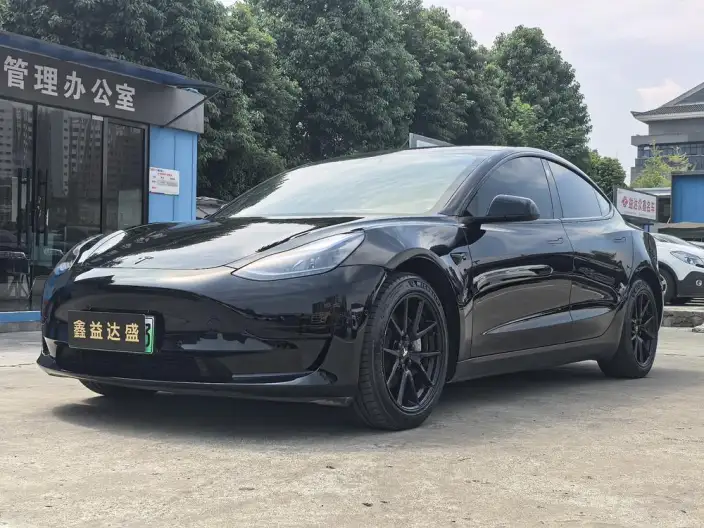 Model 3 2021 Model Standard Battery Life Rear Drive L Class Edition