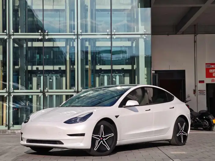 Model 3 2021 Model Standard Battery Life Rear Drive L Class Edition