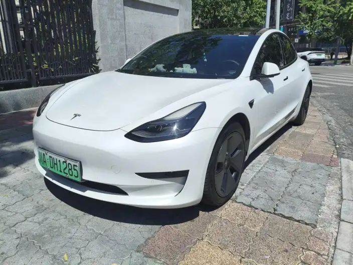 Model 3 2021 Model Standard Battery Life Rear Drive L Class Edition 3D6