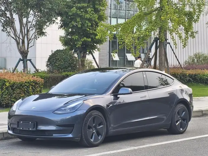 Model 3 2021 Model Standard Battery Life Rear Drive L Class Edition 3D6
