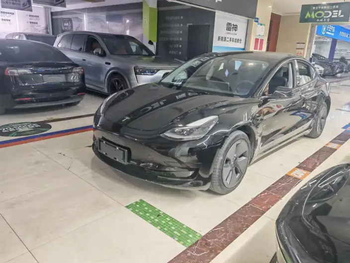 Model 3 2021 Model Standard Battery Life Rear Drive L Class Edition
