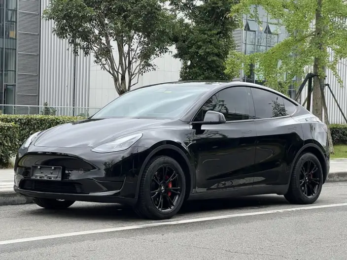 Model Y 2022 Model Facelift Rear-wheel drive version