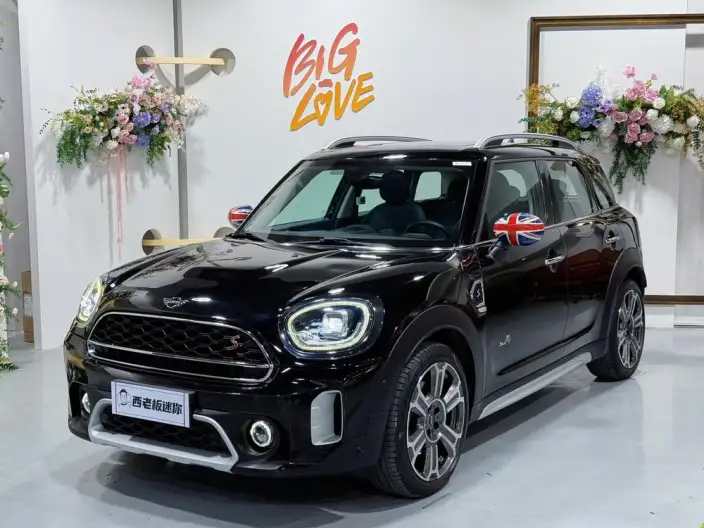 MINI COUNTRYMAN 2022 Model 2.0T COOPER S ALL4