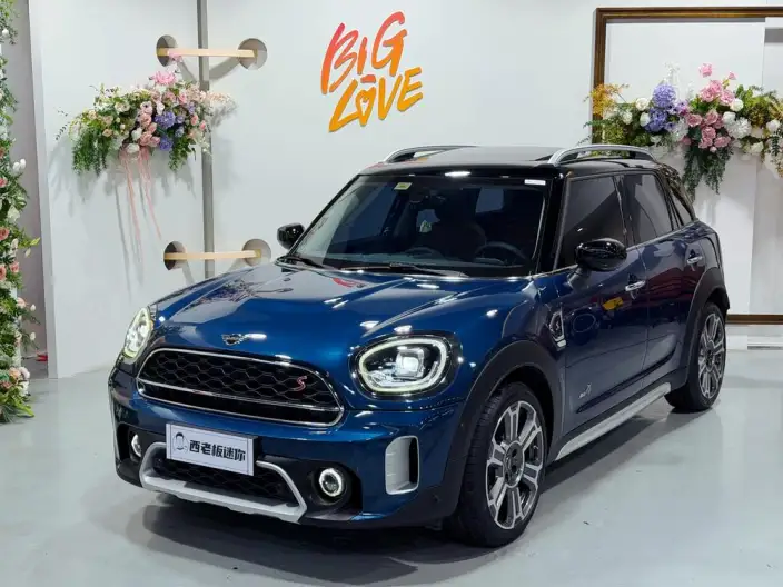 MINI COUNTRYMAN 2021 Model 2.0T COOPER S ALL4