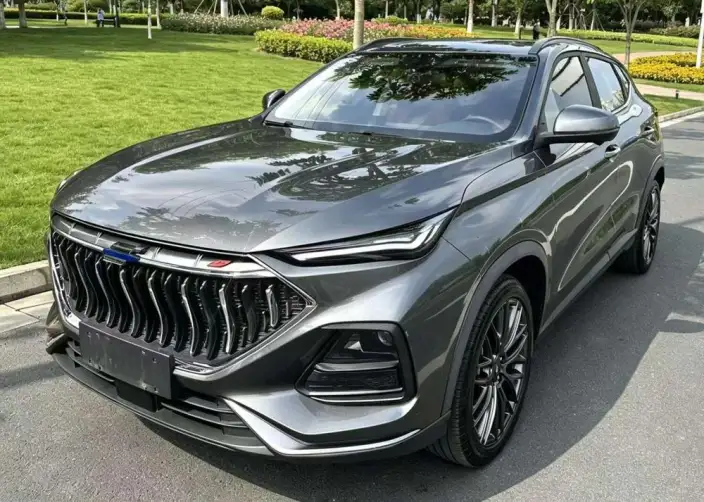 Changan Oshan X5 2021 Model 1.5T DCT Flagship Model