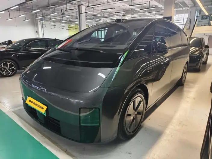 Li Auto MEGA 2025 Model Home Family Special Edition