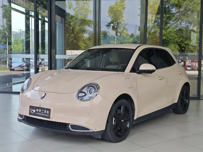 ORA Good Cat 2024 Model 401km Luxury Model
