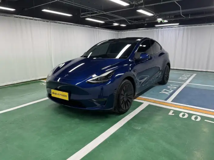 Model Y 2021 Model Long Battery Life Pro All-wheel drive version