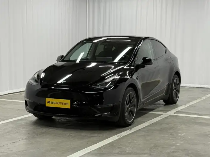 Model Y 2021 Model Standard Battery Life Rear-wheel drive version