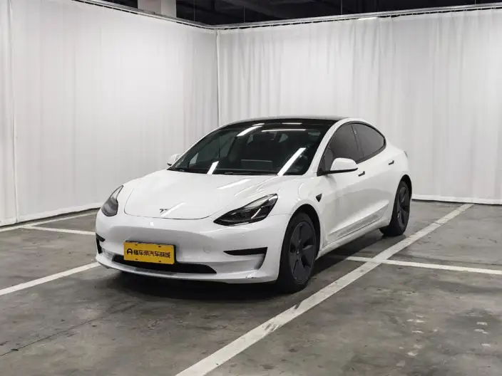 Model 3 2021 Model Standard Battery Life Rear Drive L Class Edition 3D6
