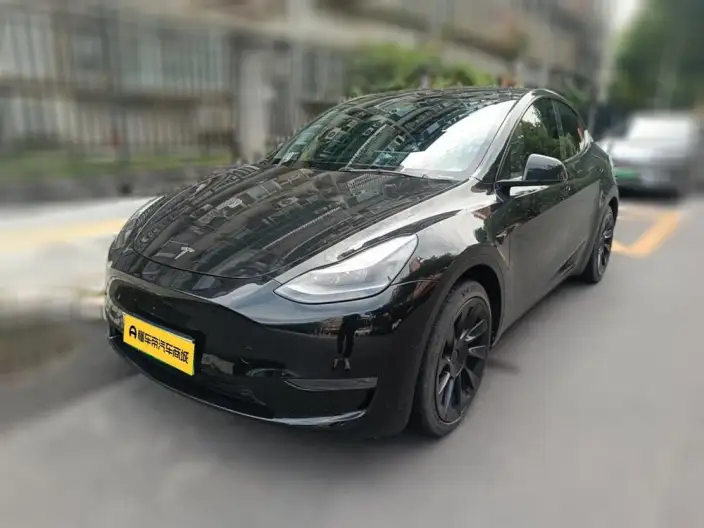Model Y 2021 Model Standard Battery Life Rear-wheel drive version