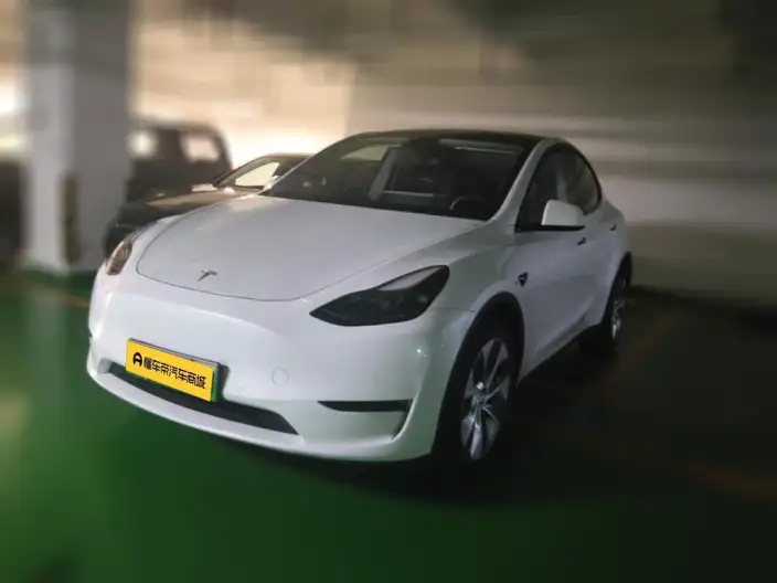 Model Y 2021 Model Long Battery Life Pro All-wheel drive version
