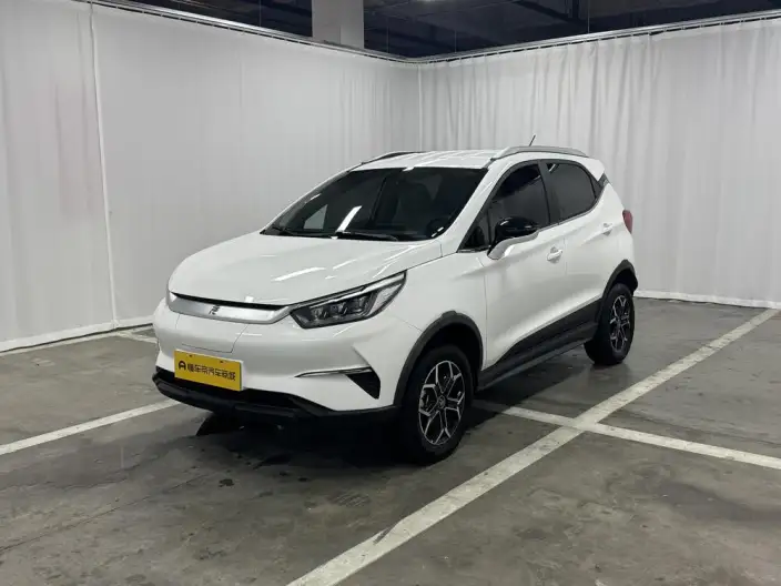 Yuan Pro 2023 Model 401KM Luxury Model