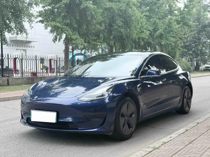 Model 3 2020 Model Facelift Standard Battery Life Rear Drive L Class Edition