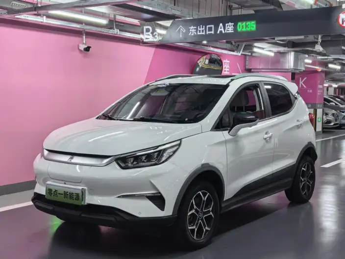 Yuan Pro 2021 Model 401KM Noble Model