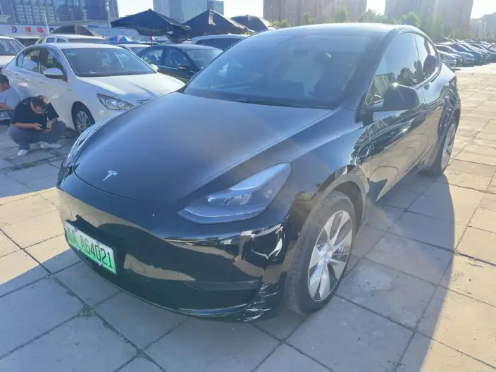 Model Y 2021 Model Long Battery Life Pro All-wheel drive version