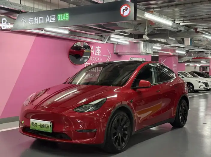 Model Y 2021 Model Long Battery Life Pro All-wheel drive version