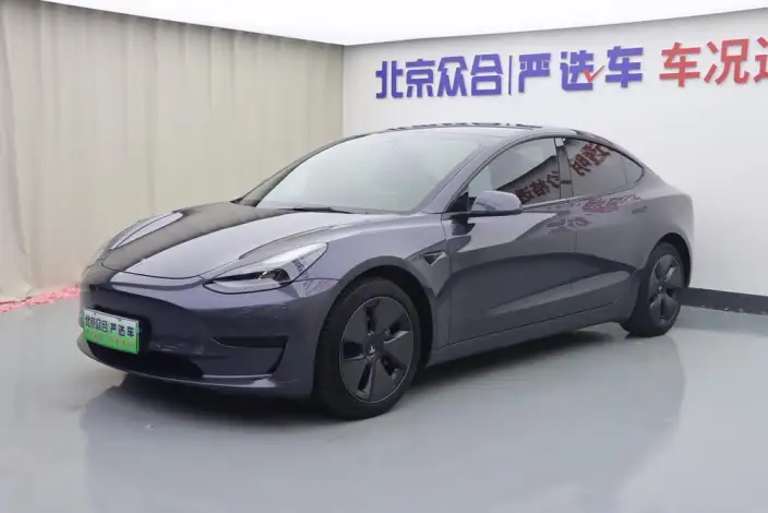 Model 3 2021 Model Standard Battery Life Rear Drive L Class Edition 3D1