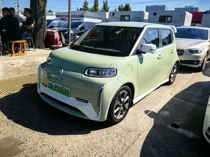 ORA White Cat 2020 Model 401km Flagship Model