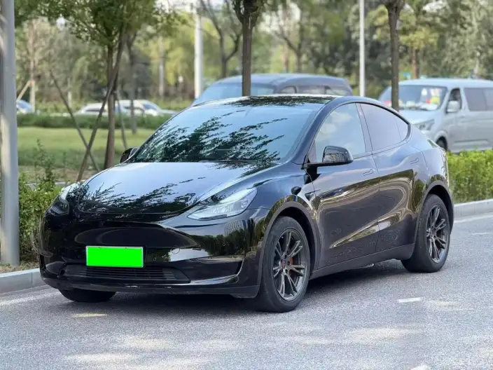 Model Y 2021 Model Long Battery Life Pro All-wheel drive version