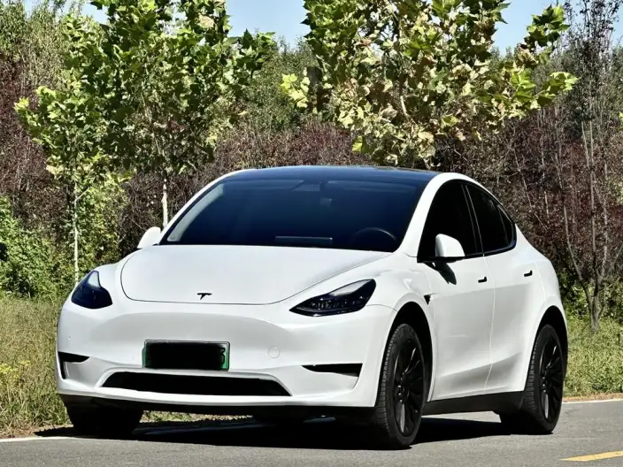 Model Y 2022 Model Facelift Rear-wheel drive version