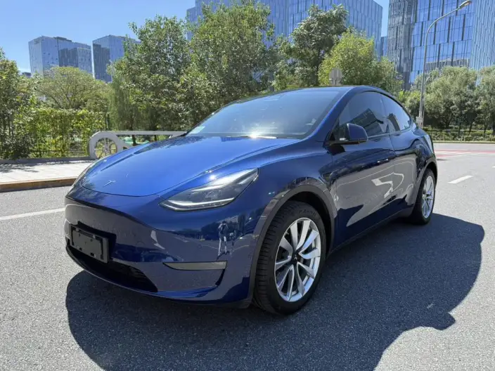 Model Y 2021 Model Long Battery Life Pro All-wheel drive version 3D3/3D7