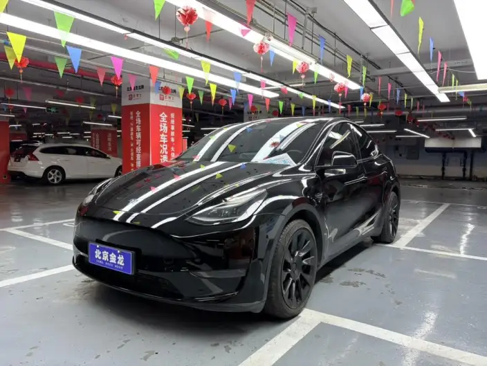 Model Y 2021 Model Long Battery Life Pro All-wheel drive version
