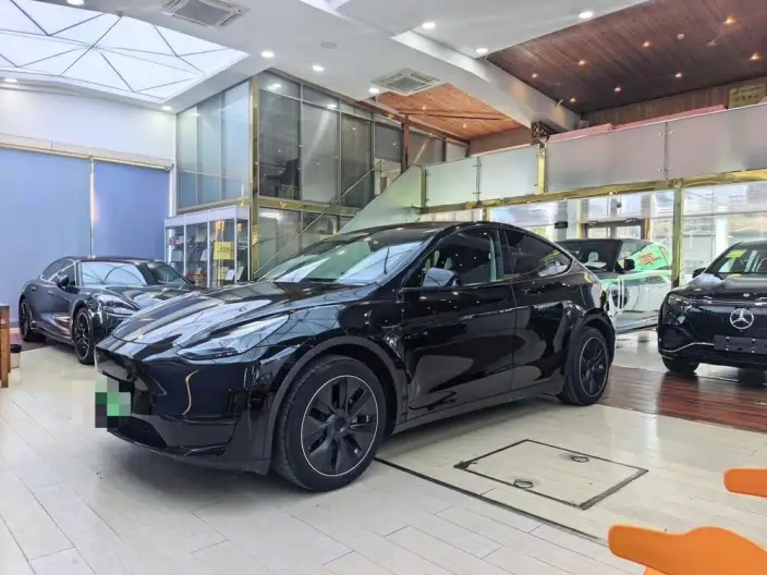 Model Y 2022 Model Facelift Rear-wheel drive version