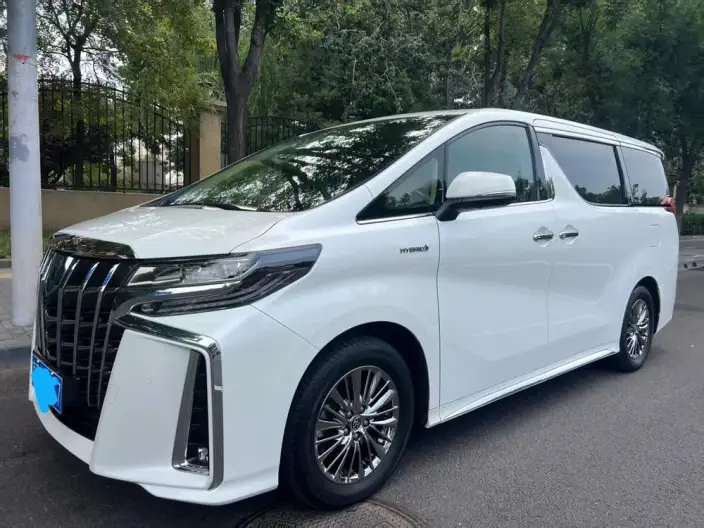 Elfa 2021 Model Hybrid 2.5L Premium