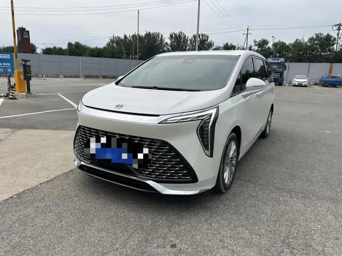 Century 2023 Model 2.0T VII seat Yunshi Edition