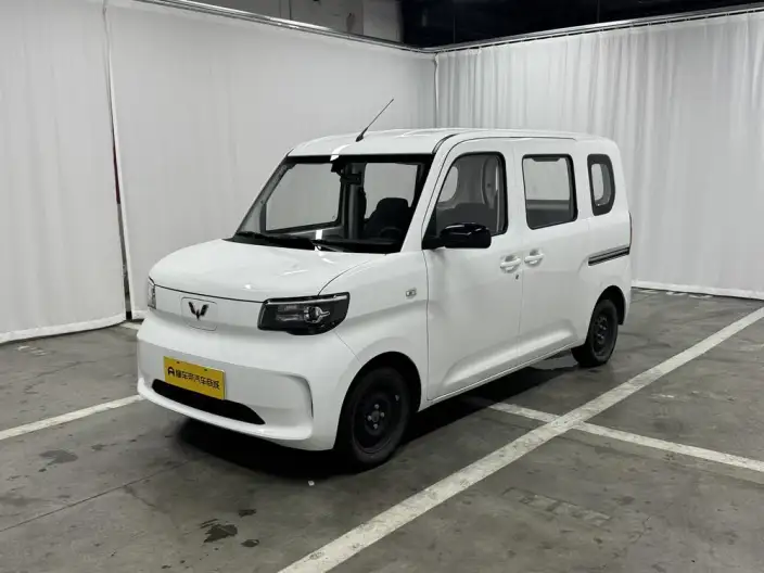 WULING Sunshine EV 2025 Model Standard Model