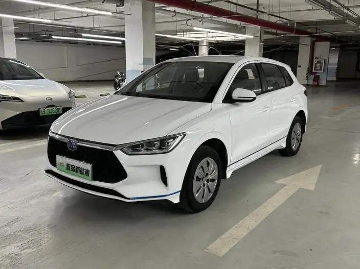 BYD E2 2020 Model L Class Edition Standard battery life version Standard Model