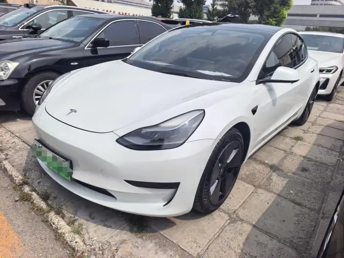 Model 3 2021 Model Standard Battery Life Rear Drive L Class Edition 3D6