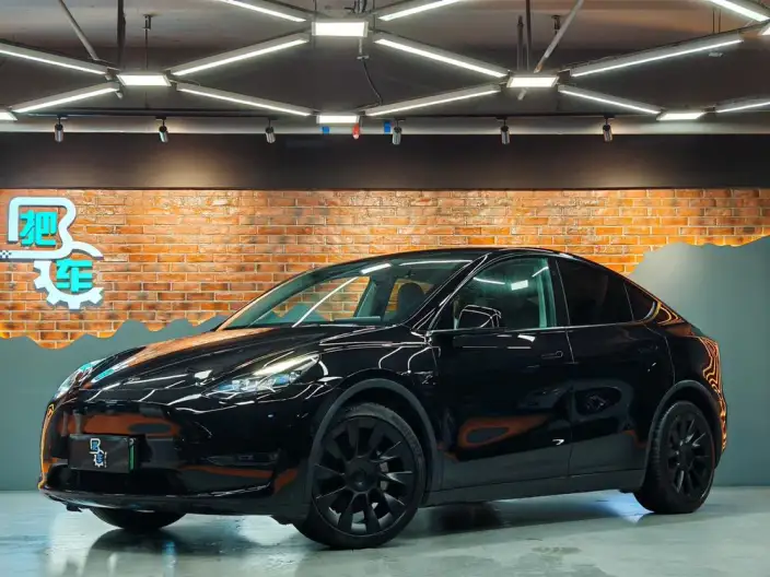 Model Y 2021 Model Long Battery Life Pro All-wheel drive version