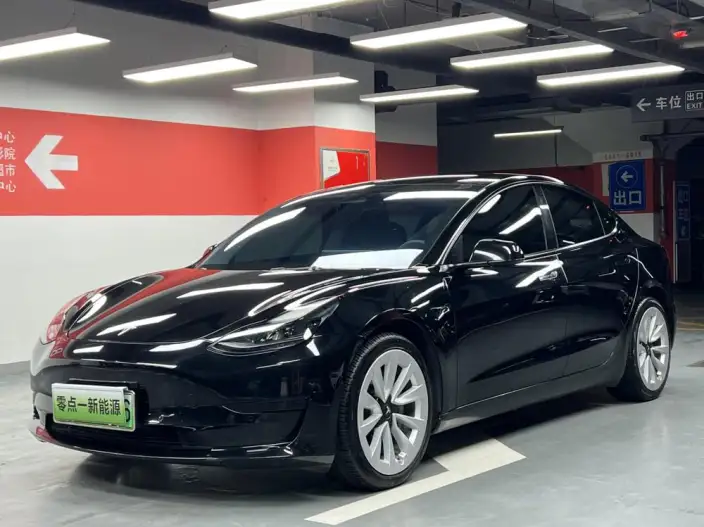 Model 3 2021 Model Standard Battery Life Rear Drive L Class Edition
