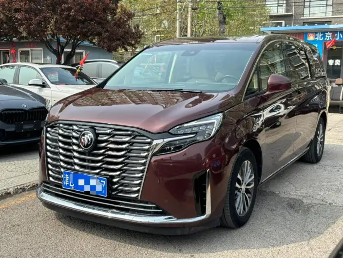 Buick GL8 2023 Model ES Luzun 2.0T Exclusive Model