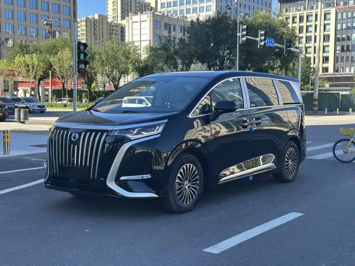 Denza D9 EV 2024 Model 620 2WD Exclusive Model
