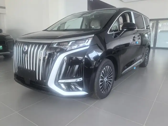 Denza D9 EV 2024 Model 620 2WD Exclusive Model