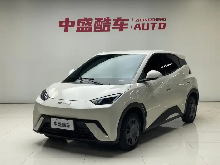 BYD Seagull 2024 Model Honor Edition 305KM Vitality Edition